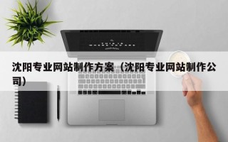 沧县沈阳专业网站制作方案（沈阳专业网站制作公司）